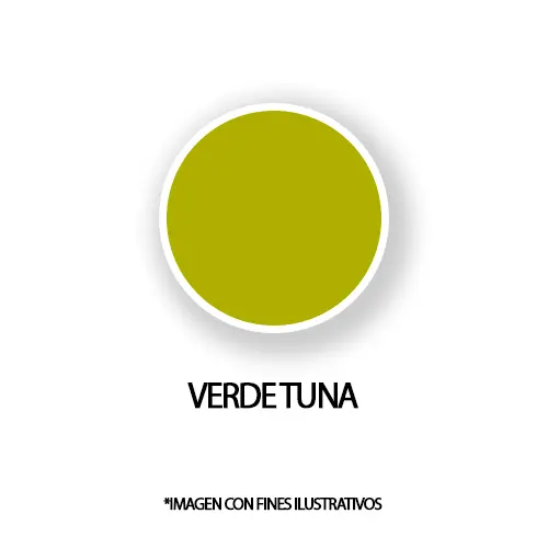 MATIZADOR VERDE TUNA - 5 GR