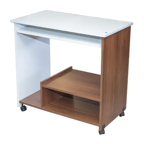 MODULO PARA COMPUTADORA 0.80