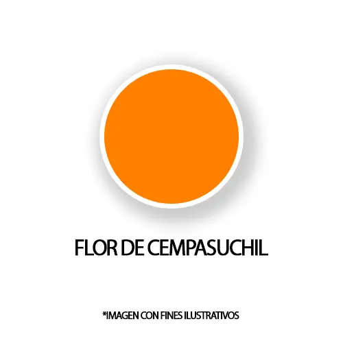 [CHPO158-005] MATIZADOR CEMPASUCHIL