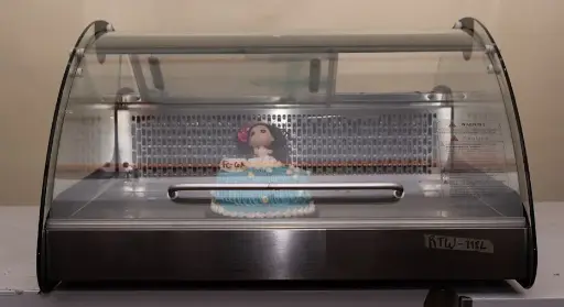 [RTW-118L] VITRINA FRIA DE 34*27"